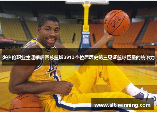 张伯伦职业生涯季后赛总篮板3913个位居历史第三见证篮球巨星的统治力