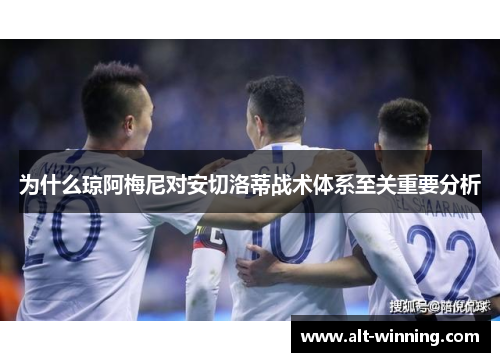 为什么琼阿梅尼对安切洛蒂战术体系至关重要分析