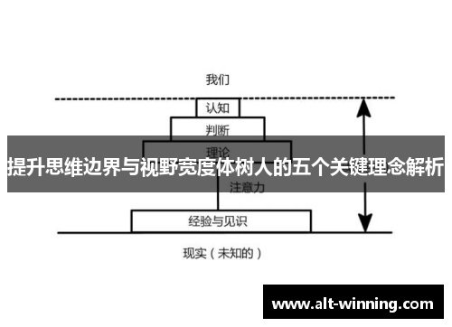 提升思维边界与视野宽度体树人的五个关键理念解析