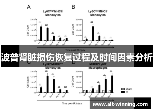 波普肾脏损伤恢复过程及时间因素分析