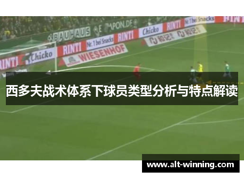 西多夫战术体系下球员类型分析与特点解读
