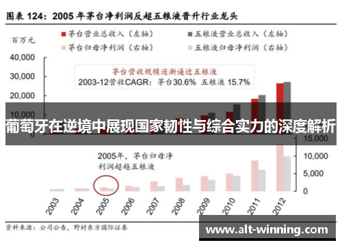 葡萄牙在逆境中展现国家韧性与综合实力的深度解析